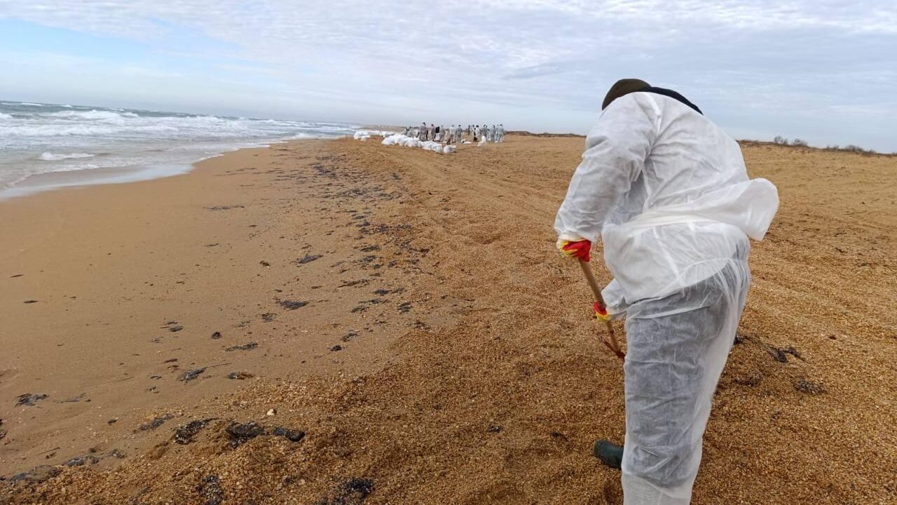 Ликвидация последствий разлива нефти в Краснодарском крае