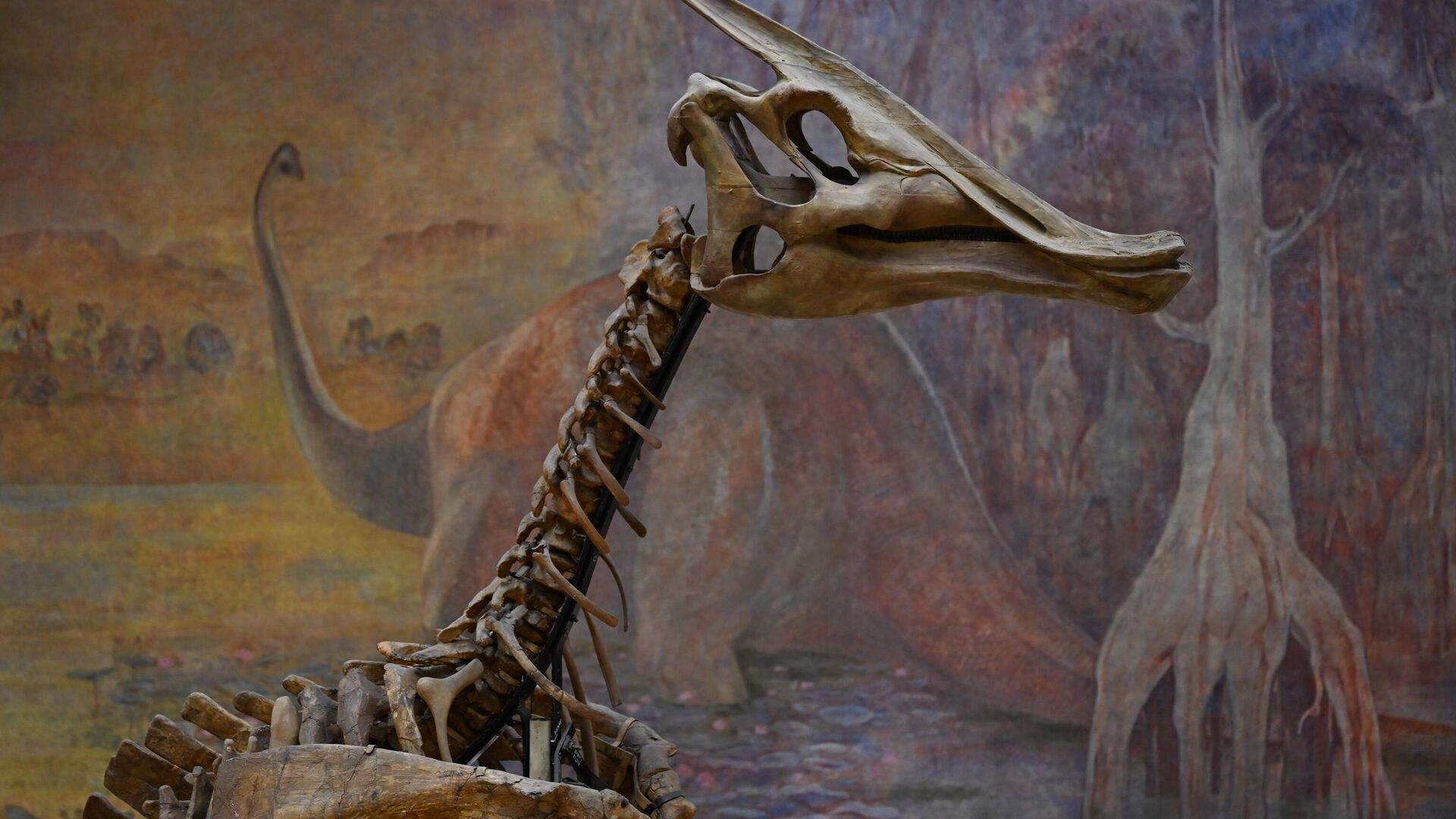 Изучение останков динозавров