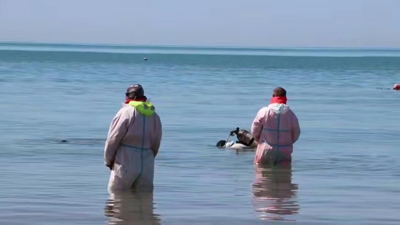 Водолазы за сутки собрали 88 мешков замазученного грунта на дне моря у Анапы