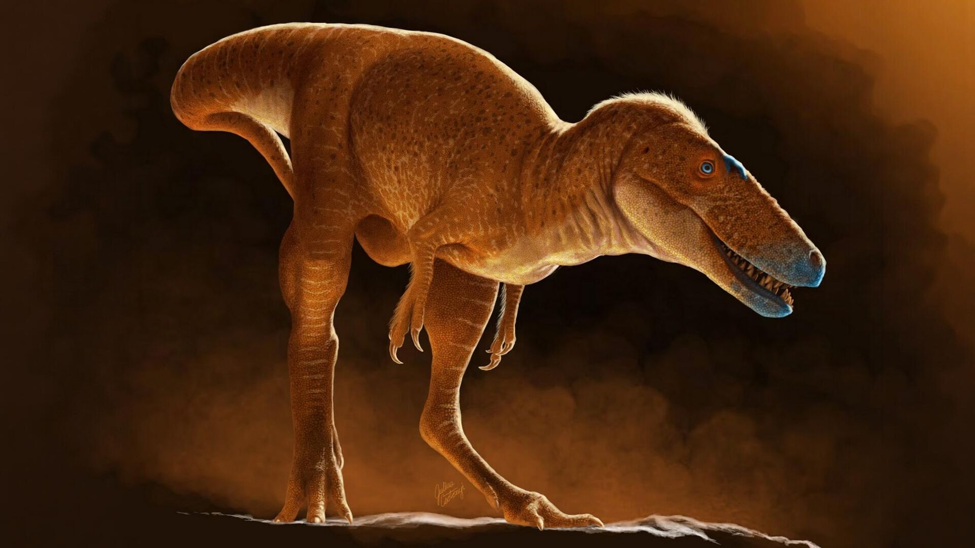 Тираннозавр Khankhuuluu mongoliensis в представлении художника