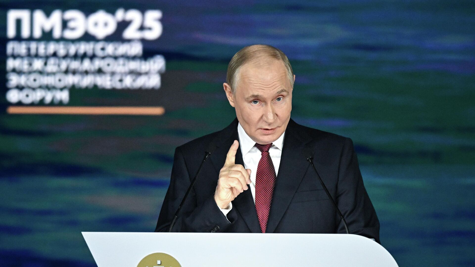 Президент РФ Владимир Путин на пленарном заседании XXVIII Петербургского международного экономического форума