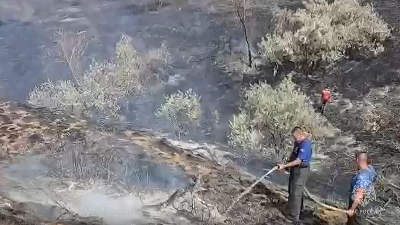 Природный пожар вдоль дороги Симферополь-Евпатория на западе Крыма