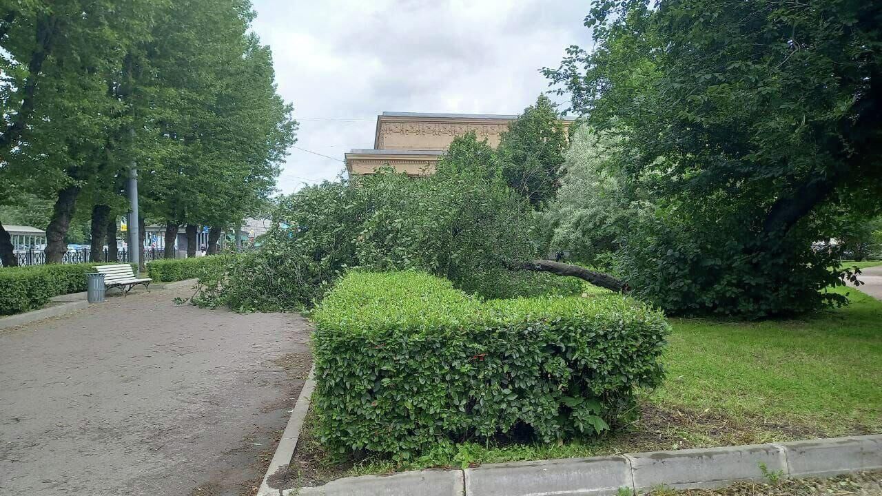 Последствия сильного ветра в Санкт-Петербурге