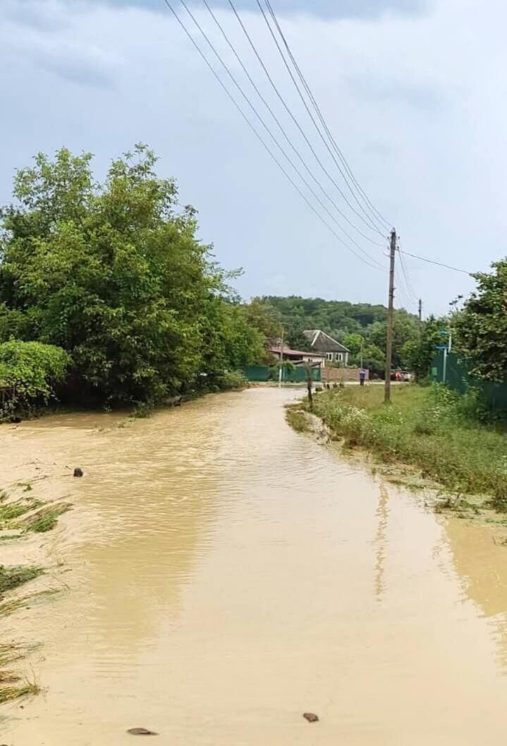Подтопления в результате подъёма воды в реке Чепси в селе Фанагорийском Краснодарского края