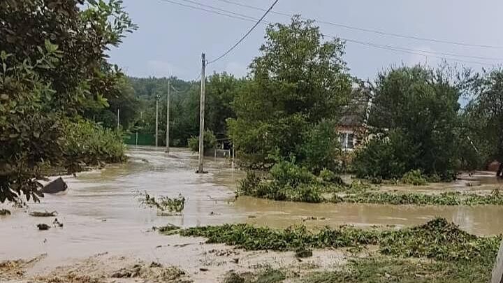 Подтопления в результате подъёма воды в реке Чепси в селе Фанагорийском Краснодарского края