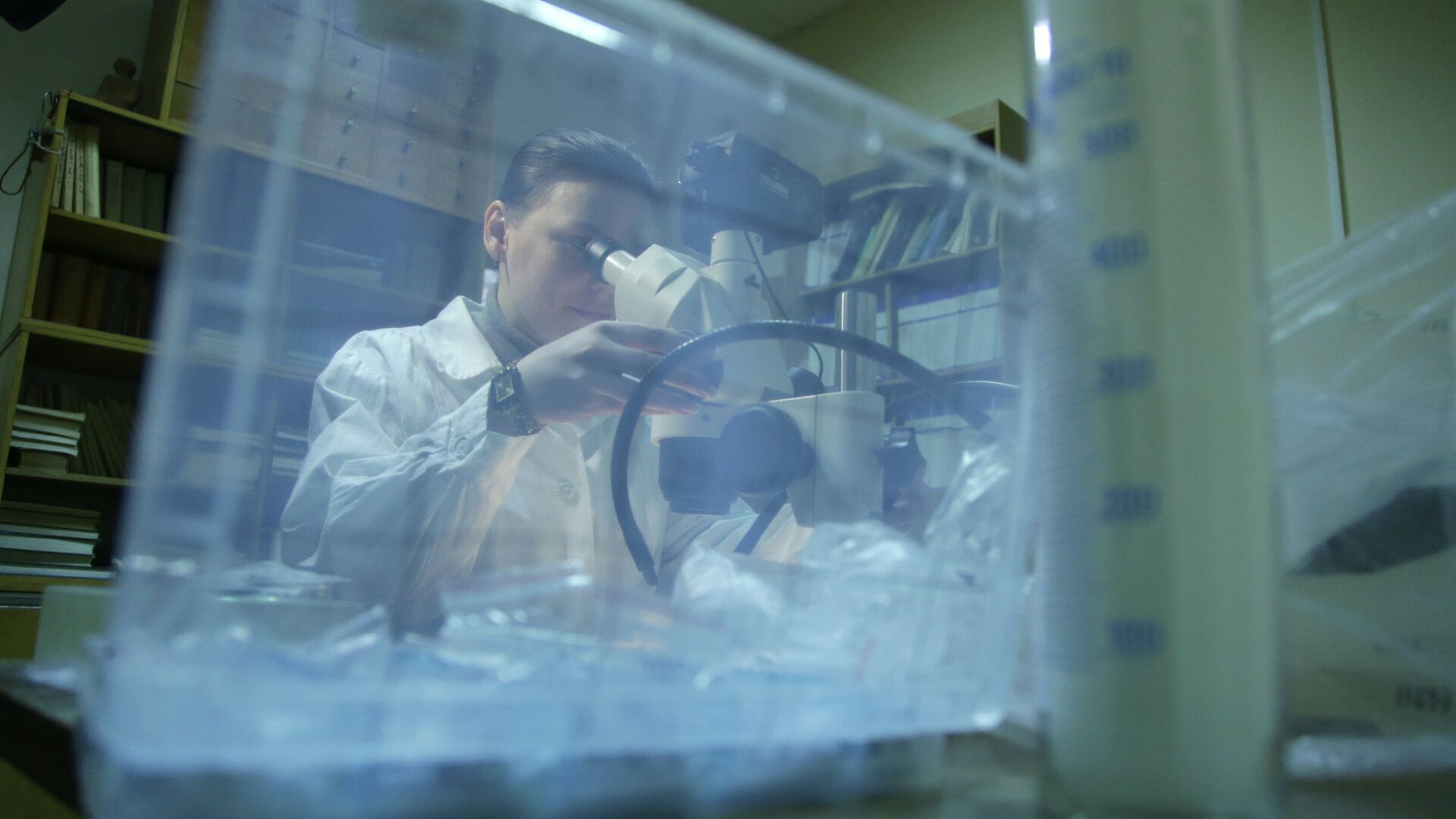 Научный сотрудник