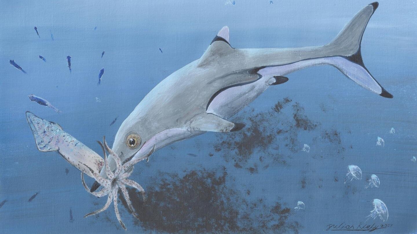 Новорожденный ихтиозавр, поймавший кальмара эпохи динозавров