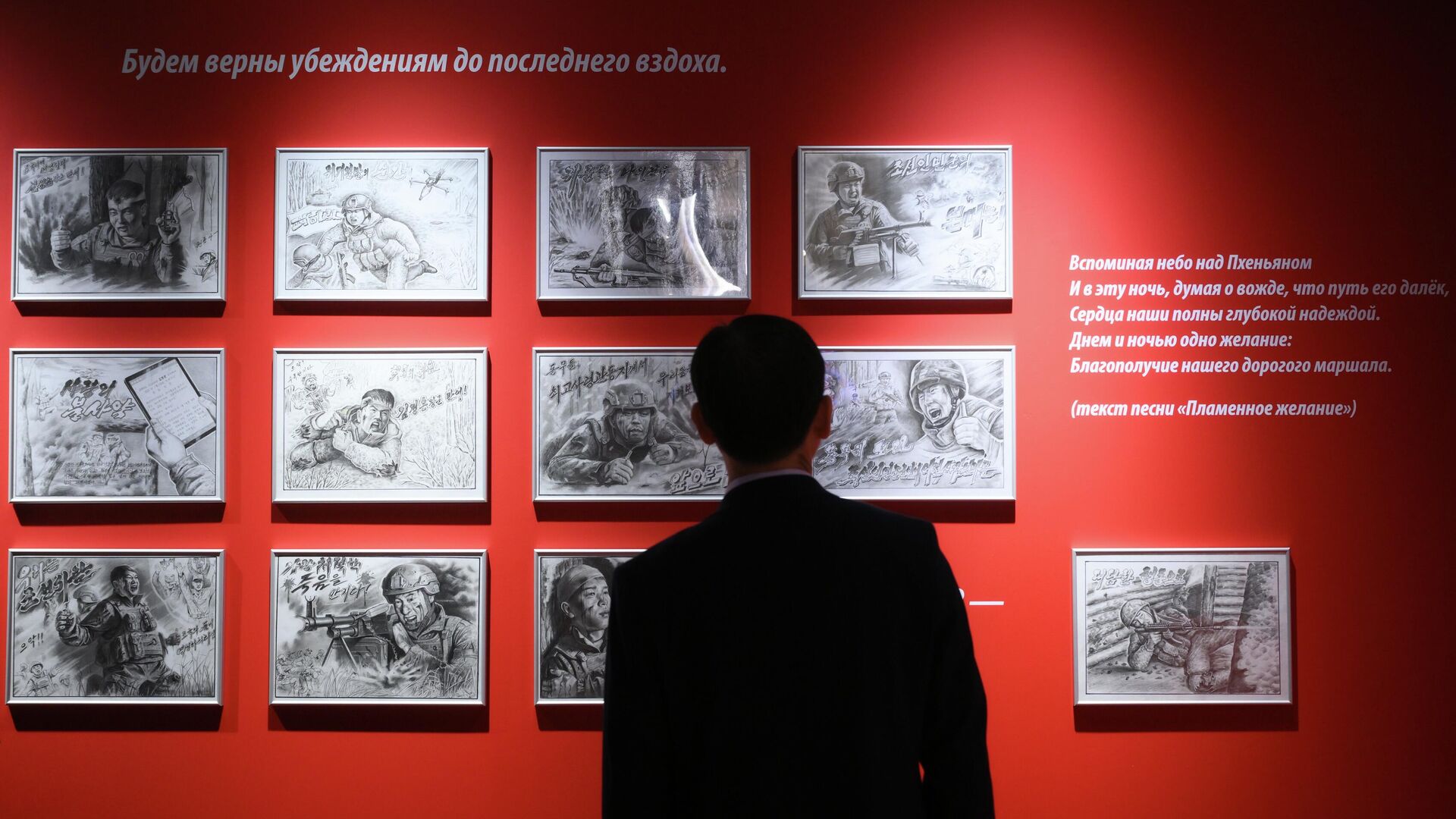 Посетитель на выставке Плечом к плечу, посвященной сотрудничеству России и КНДР, в Музее Победы в Москве