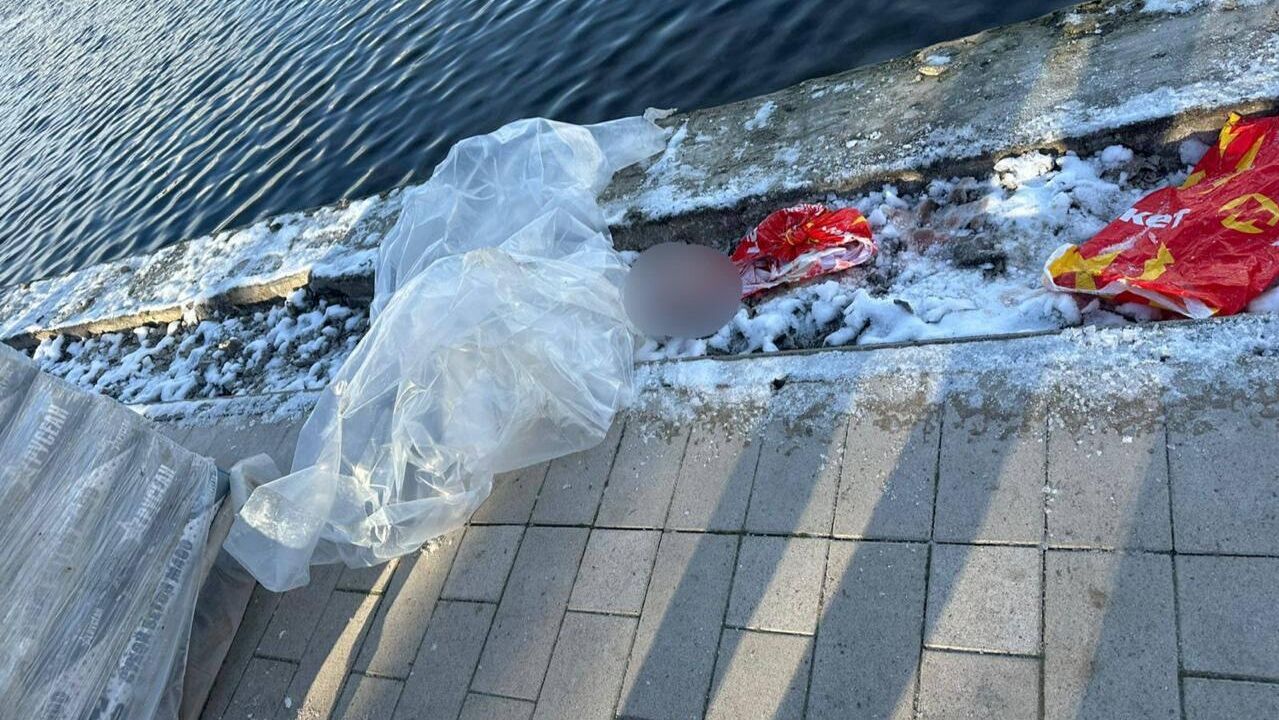 Останки человека в пакете в Гольяновском пруду на востоке Москвы