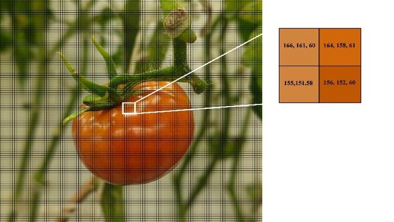 Примеры работы цифрового агронома