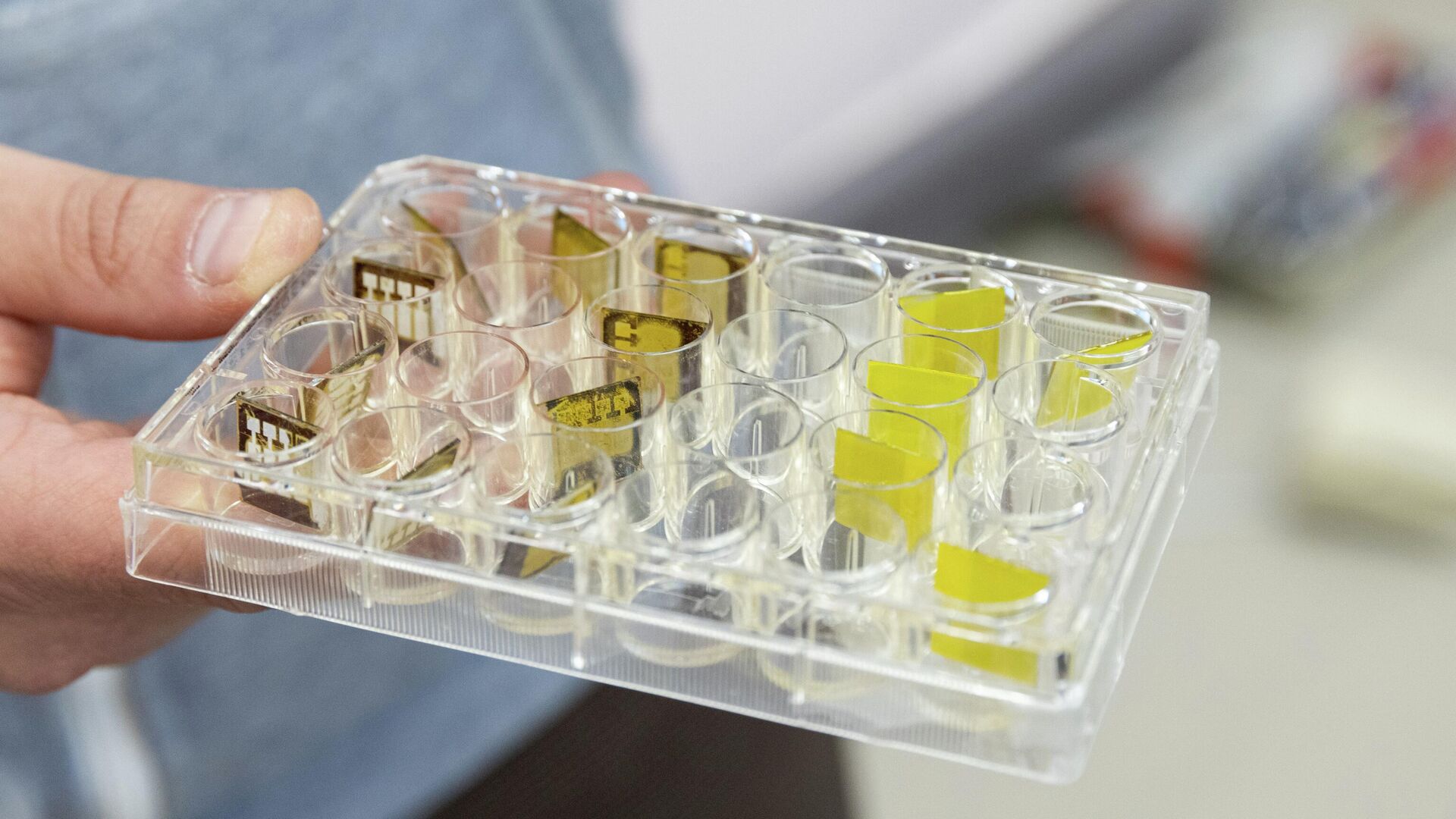 Образцы новых материалов