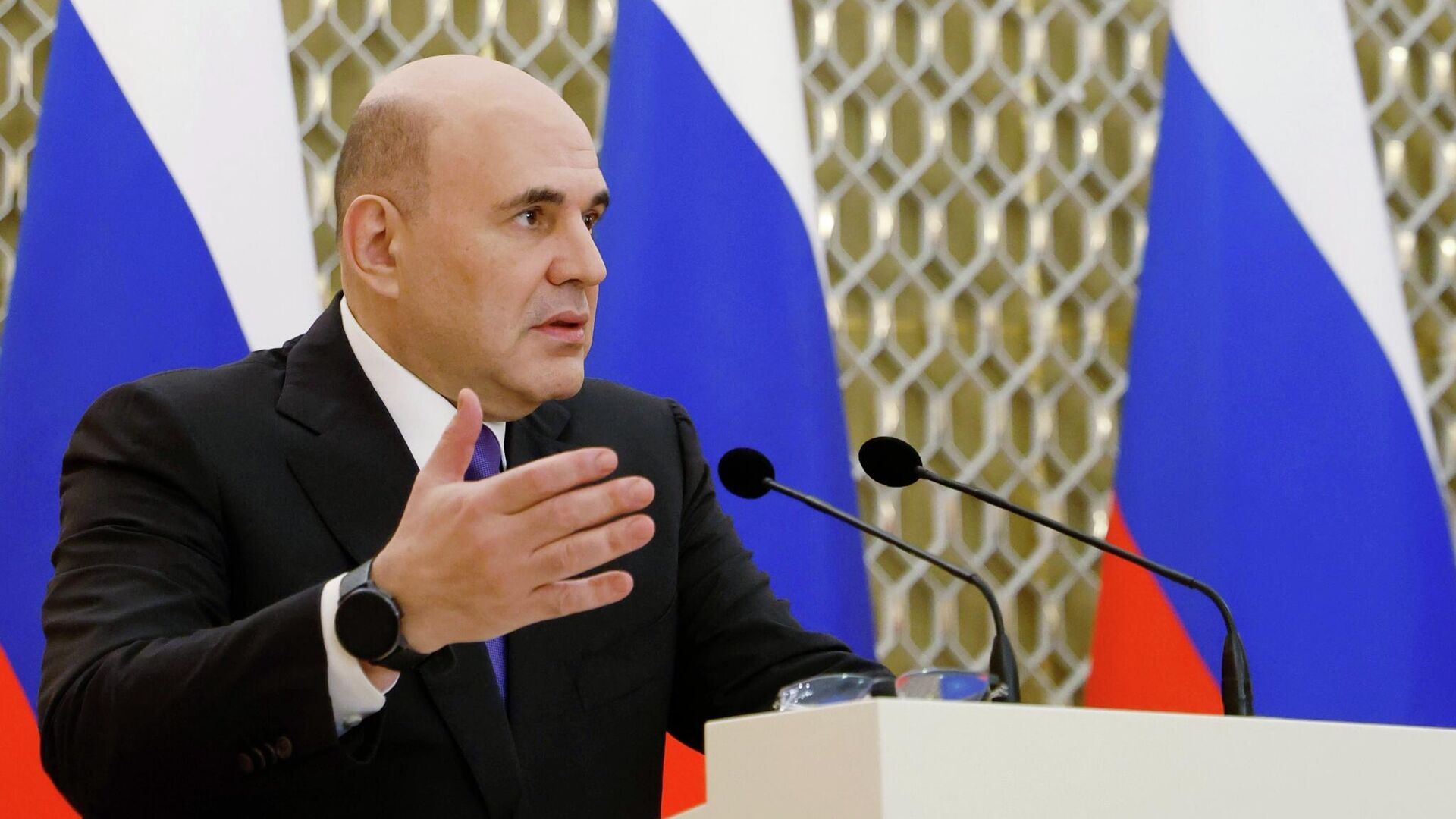 Председатель правительства РФ Михаил Мишустин