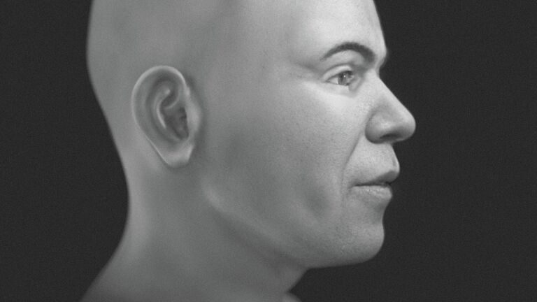 Лицо в оттенках серого, без волос и бороды — профиль