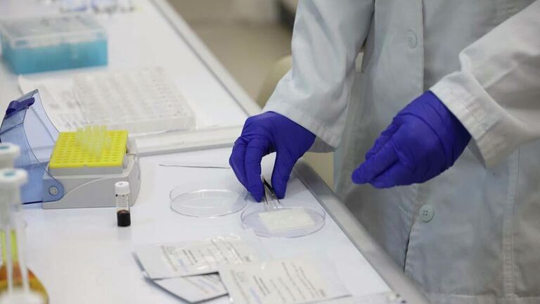 Подготовка биомембраны к обработке ex tempore