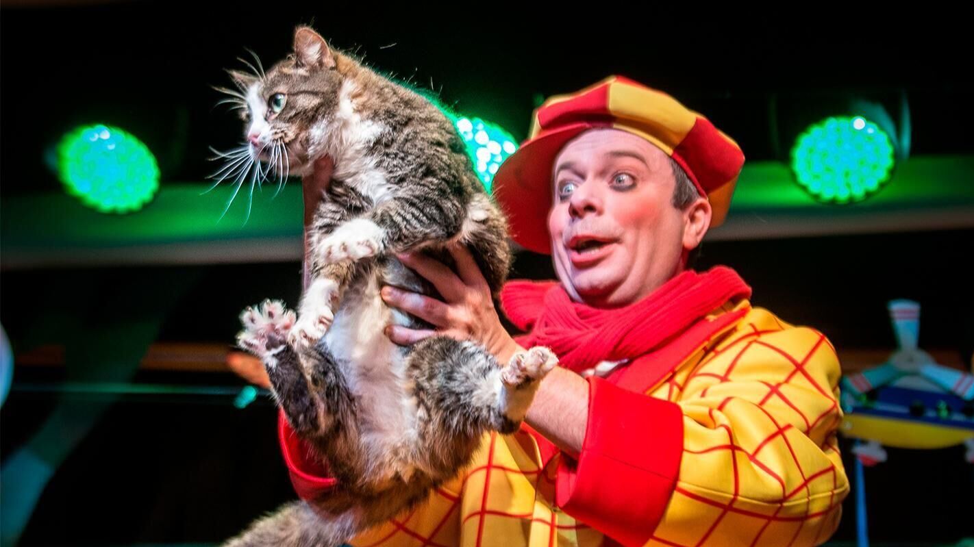 Кошка в спектакле театра Куклачева