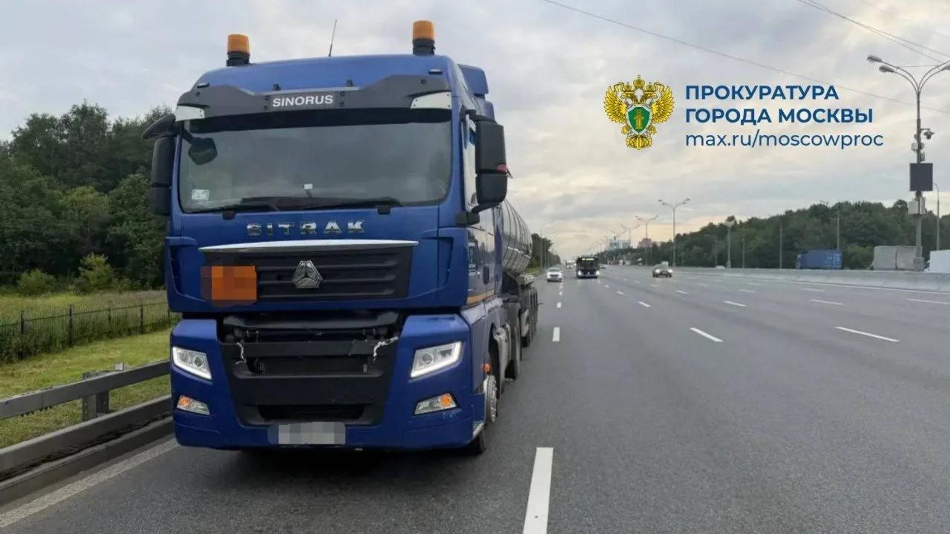 Грузовик насмерть сбил лося на МКАД