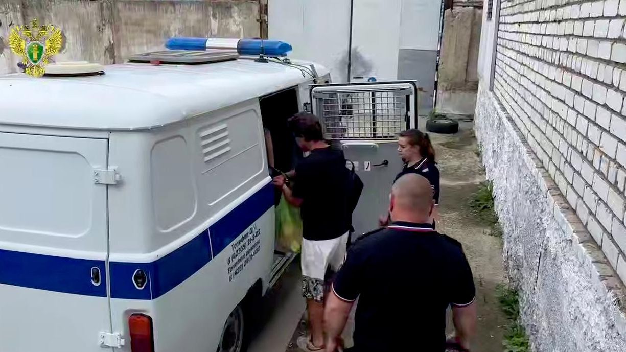 Подозреваемый в наезде на 7-летнюю девочку в Партизанском округе заключен под стражу