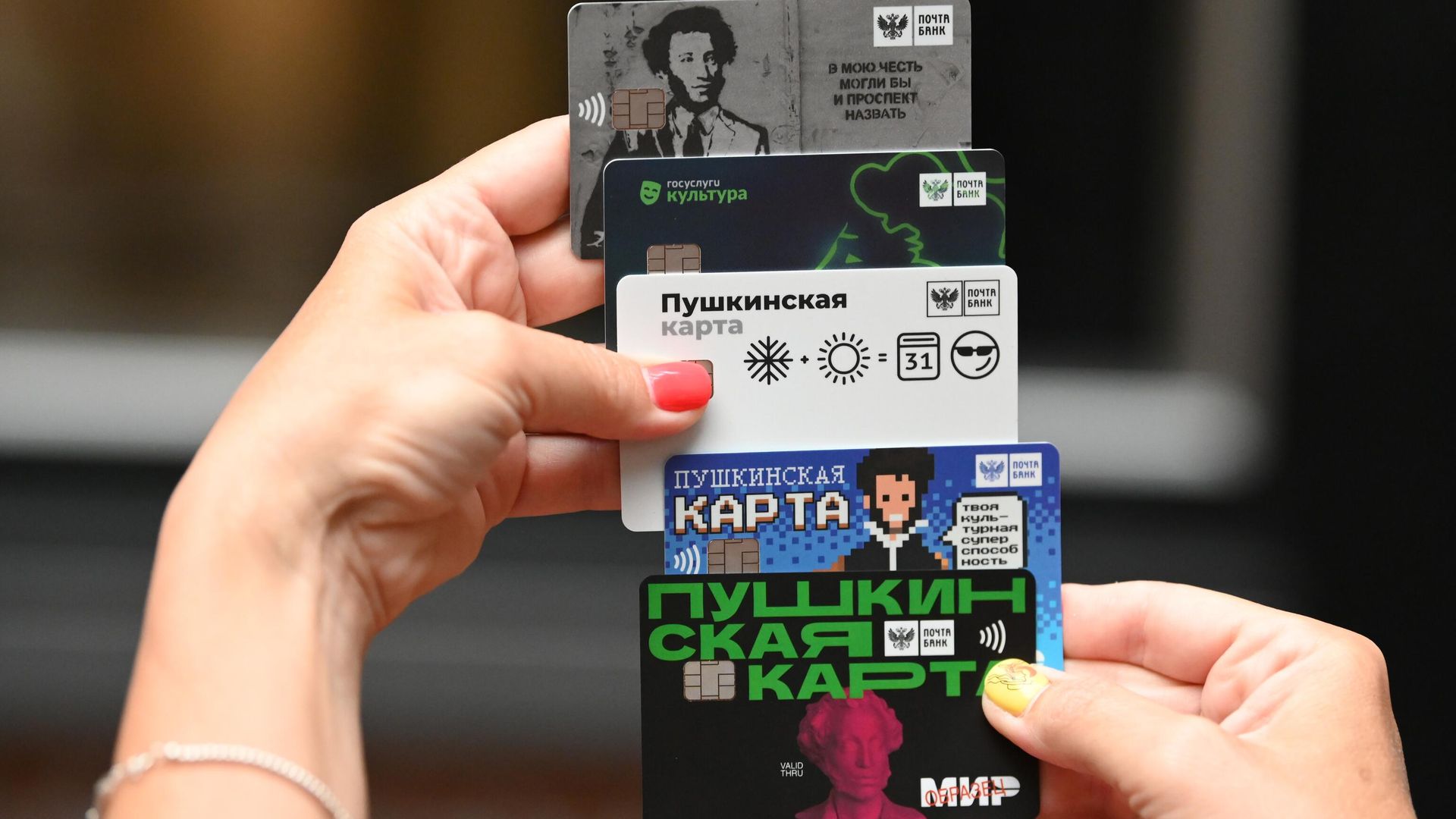 Образцы Пушкинской карты