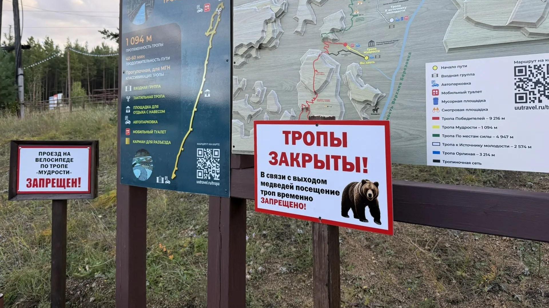 Туристические тропы из-за ситуации с медведями закрыли в Улан-Удэ