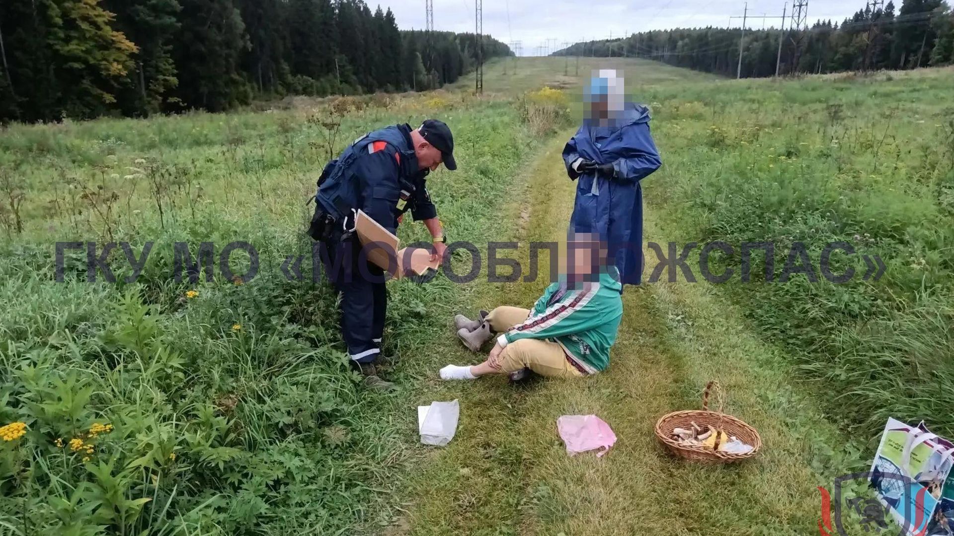 Оказание помощи женщине, которую укусила змея в Подмосковье