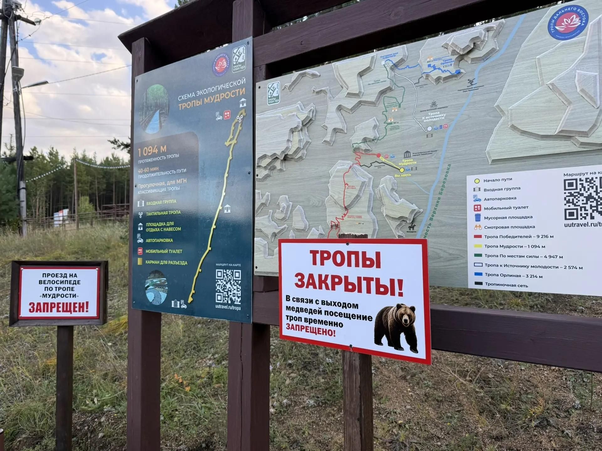 Туристические тропы из-за ситуации с медведями закрыли в Улан-Удэ