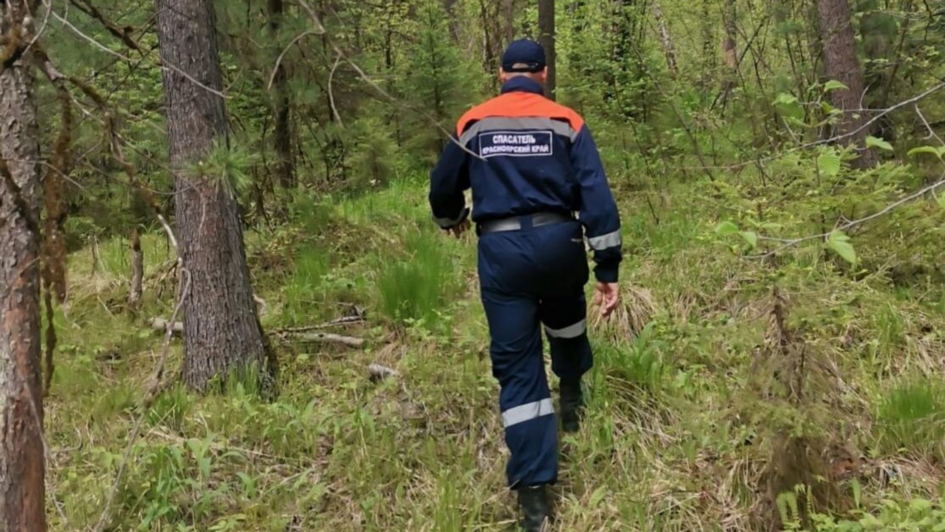 Поисково-спасательные работы по поиску семьи в лесном массиве поселка Кутурчин в Красноярском крае